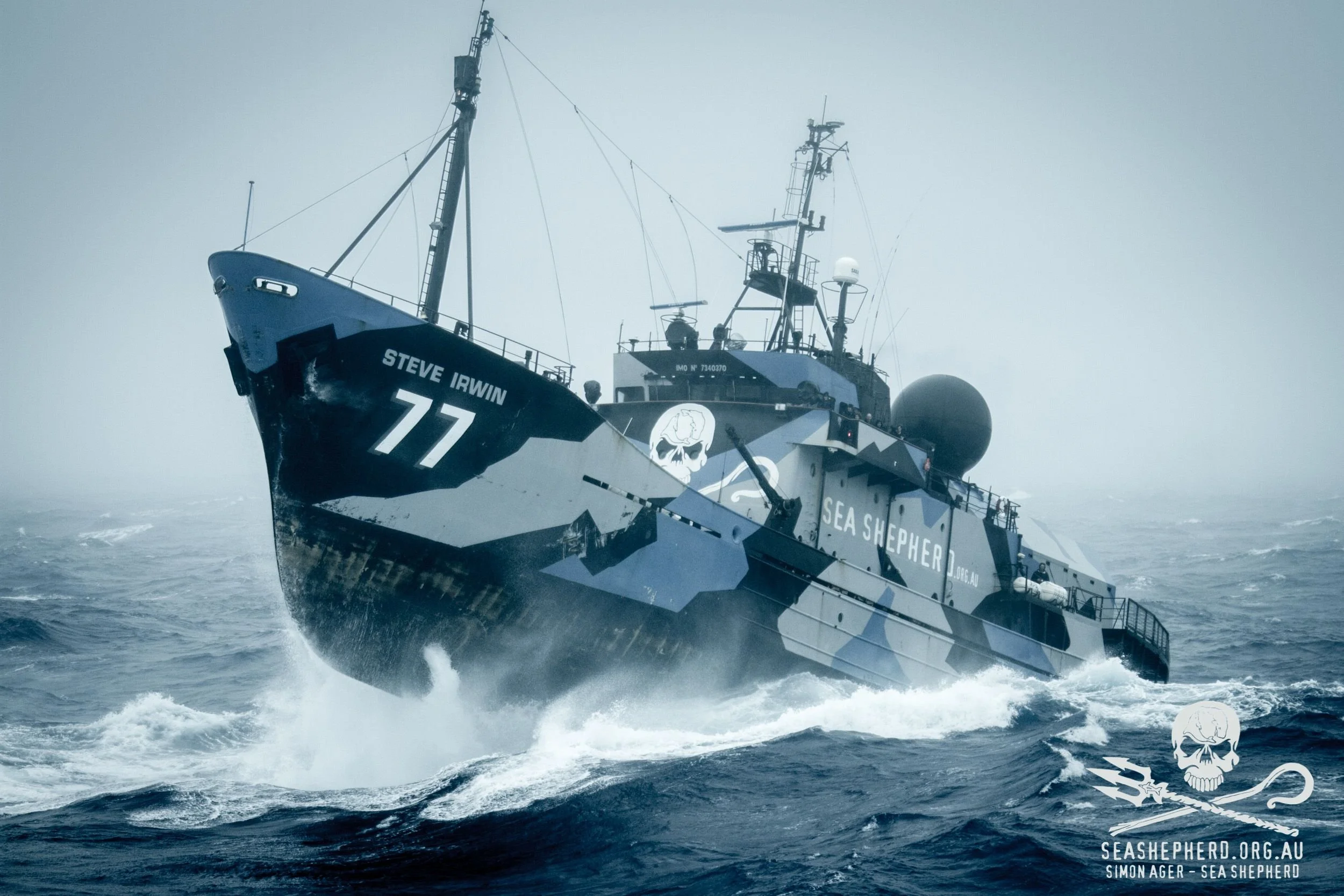 Un bateau de la mission Sea Shepherd naviguant en mer agitée sous un ciel gris, avec le logo crâne et trident et la mention « SEA SHEPHERD ».
