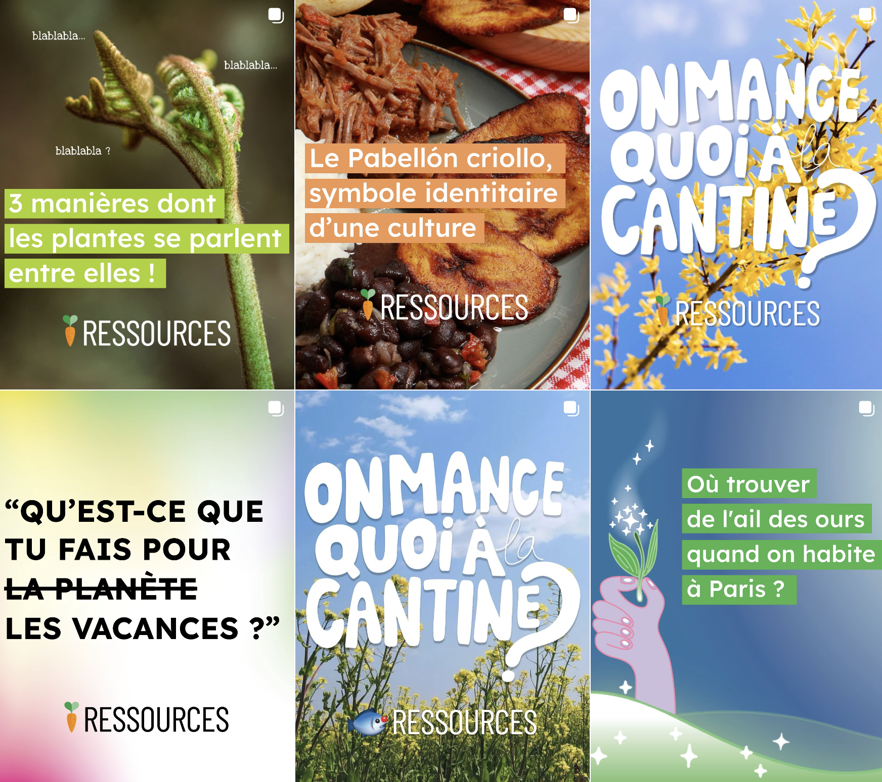 Stratégie Ressources Green