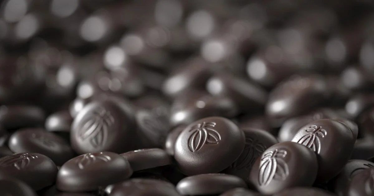Chocolats Elvezia mis en scène dans une nature morte gourmande.